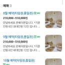청당키즈어린이집 | 천안 키즈풀 온헤이븐 무인키즈카페 종일권 내돈내산 대관 솔직후기