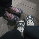 사계흑돼지산방