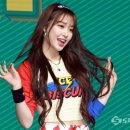 포토조아 이미지