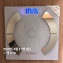 [4월 둘째 주] 혼밥, 부부 식단, 도시락, 집밥, 외식, 주간 식사일기 ; 결혼 25주년 상차림 ; 복싱 3...