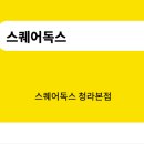 스퀘어독스 이미지