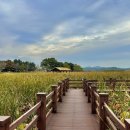 갈대습지공원 이미지