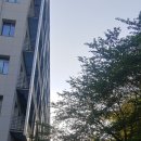 서명현 피아노 독주회 이미지