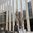 을지식당가 | 여의도 맛집 | 을지다락 (점심회식, 데이트, 모임 추천)