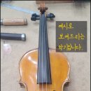 안스트링 이미지
