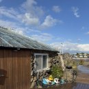 형제목장 | 제주도 여행🌺(메종메르미누, 선채향, 성이시돌목장, 양가형제, 흑돼지bbq, 동박낭, 미풍해장국, 1100...