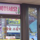전주 삐루봉가맥, 오징어 숙회에 술한잔
