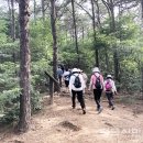 무봉산둘레길 이미지