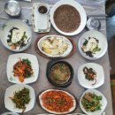 초연&더덕나라 티스토리
