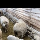 민기목장 이미지