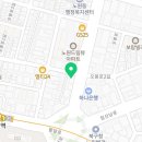 모야애견