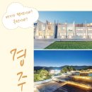 경산 도그랜드 | [Mt.HikingKorea] 경북나드리 펫 숙소 카페 32