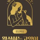 왁싱하는고양이