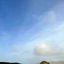 은한농장 이미지