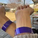 도그에이드 | 서울 근교 힐링 드라이브🚗 우리 댕댕이랑 남양주 도그맥스 다녀왔어요