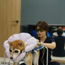사과나무한방병원 네이버블로그