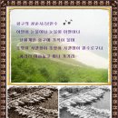 항구다방 - 포항시 남구 호미로 227-2 | 항구다방