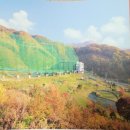 삼광골프연습장 이미지