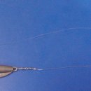 유동장어 이미지