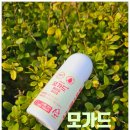하나메디팜 주식회사 | 모기기피제 모가드 이카리딘 모기 진드기 기피제 여행갈 때 필수품