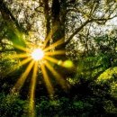 ACE컨설팅&행정사사무소 이미지