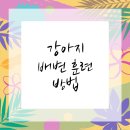 즐거운 동물병원 이미지