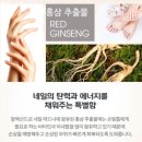 고소영 새언니가 운영하는 네일샵 추천 브랜드? 손톱 갈라짐 고민 끝! 알렉산드로 네일하드너 후기