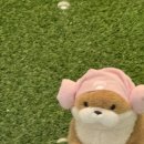 일월노래연습장 이미지