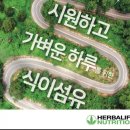 열매점핑허브다이어트 이미지