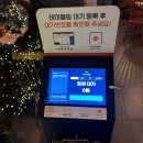 민락로 | [부산] 광안리 애견동반 술집 스지고집 내돈내산✨ 후기