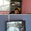 강쇠네흑돼지 이미지