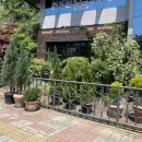 무전7길 이미지