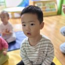 10월 14일- 어린이집 안전공제회 온라인 안전교육 인형극 (뒤죽박죽 곤충나라) 이미지