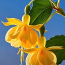 열두보석 이미지