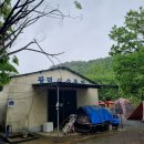 광덕산사슴목장 이미지