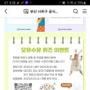 사하구청 퀴즈이벤트 (~8.20) 이미지