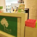 꿈꾸는 나무 이미지