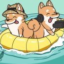 Jungle Cruise 이미지