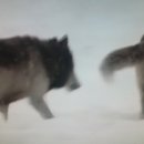 (주)가교