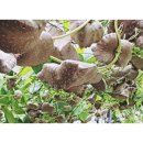 종수농장 이미지