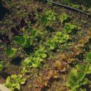 하도하도민박 이미지