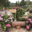 김일농장 이미지