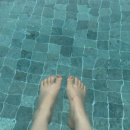 단이 | 구래동 네일샵 추천｜프라이빗 한 1인샵 ‘단이네일’ 후기