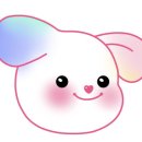 피피브레드 이미지