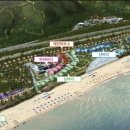 망상리조트 자동차캠핑장 이미지