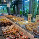 김밥천국 석계점 | 260308 일기 / 불암산 민물매운탕 송어회, 남양주 별내 대형카페 닉센, 롯데백화점 골든듀, 롯데잠실...