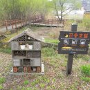 금암기적비 이미지