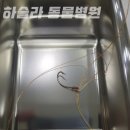 하슬라동물병원 이미지