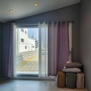 쑤기네 풀 이미지