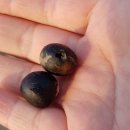 우환농장 이미지